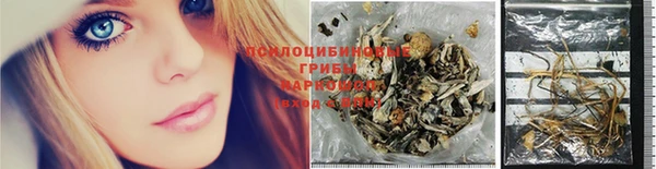 синтетический гашиш Алексеевка